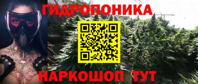 бошки Гусь-Хрустальный
